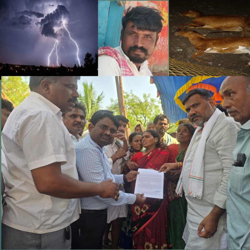 ಸಿಡಿಲು ಬಡಿದು ಮೃತಪಟ್ಟಿರುವ ಕುಟುಂಬಕ್ಕೆ ತಾಲೂಕ್ ಆಡಳಿತದಿಂದ  24 ಗಂಟೆಯಲ್ಲಿ  ರಾಷ್ಟ್ರೀಯ ವಿಪತ್ತು ಪರಿಹಾರ ನಿಧಿಯಿಂದ 5ಲಕ್ಷ ರೂ ಪರಿಹಾರ