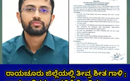 ರಾಯಚೂರು ಜಿಲ್ಲೆಯಲ್ಲಿ ತೀವ್ರ ಶೀತ ಗಾಳಿ : ಸಾರ್ವಜನಿಕರು ಎಚ್ಚರಿಕೆಯಿಂದಿರಲು ಜಿಲ್ಲಾಧಿಕಾರಿ ನಿತೀಶ್ ಕೆ ಸಲಹೆ