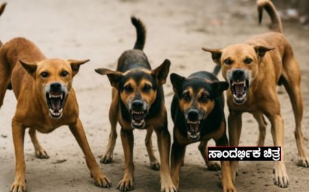 “ಮಸ್ಕಿಯಲ್ಲಿ ಬೀದಿ ನಾಯಿಗಳ ದಾಳಿ! 7 ಮಕ್ಕಳು ಸೇರಿ 10 ಜನರಿಗೆ ಗಾಯ  ಕ್ರಮಕ್ಕೆ ಆಗ್ರಹ”