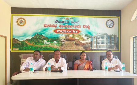 ಶ್ರೀ ಮಲ್ಲಿಕಾರ್ಜುನ ಮಹಾರಥೋತ್ಸವ ನಿಮಿತ್ಯ ಮುಂಜಾಗ್ರತ ಕ್ರಮಗಳು ವಹಿಸಿ:ಸುರೇಶ ಹರಸೂರು  