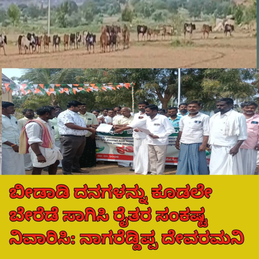 ಬೀಡಾಡಿ ದನಗಳನ್ನು ಕೂಡಲೇ ಬೇರೆಡೆ ಸಾಗಿಸಿ ರೈತರ ಸಂಕಷ್ಟ ನಿವಾರಿಸಿ: ನಾಗರೆಡ್ಡಿಪ್ಪ ದೇವರಮನಿ